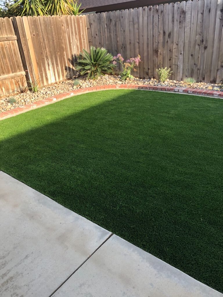 Backyard Astroturf