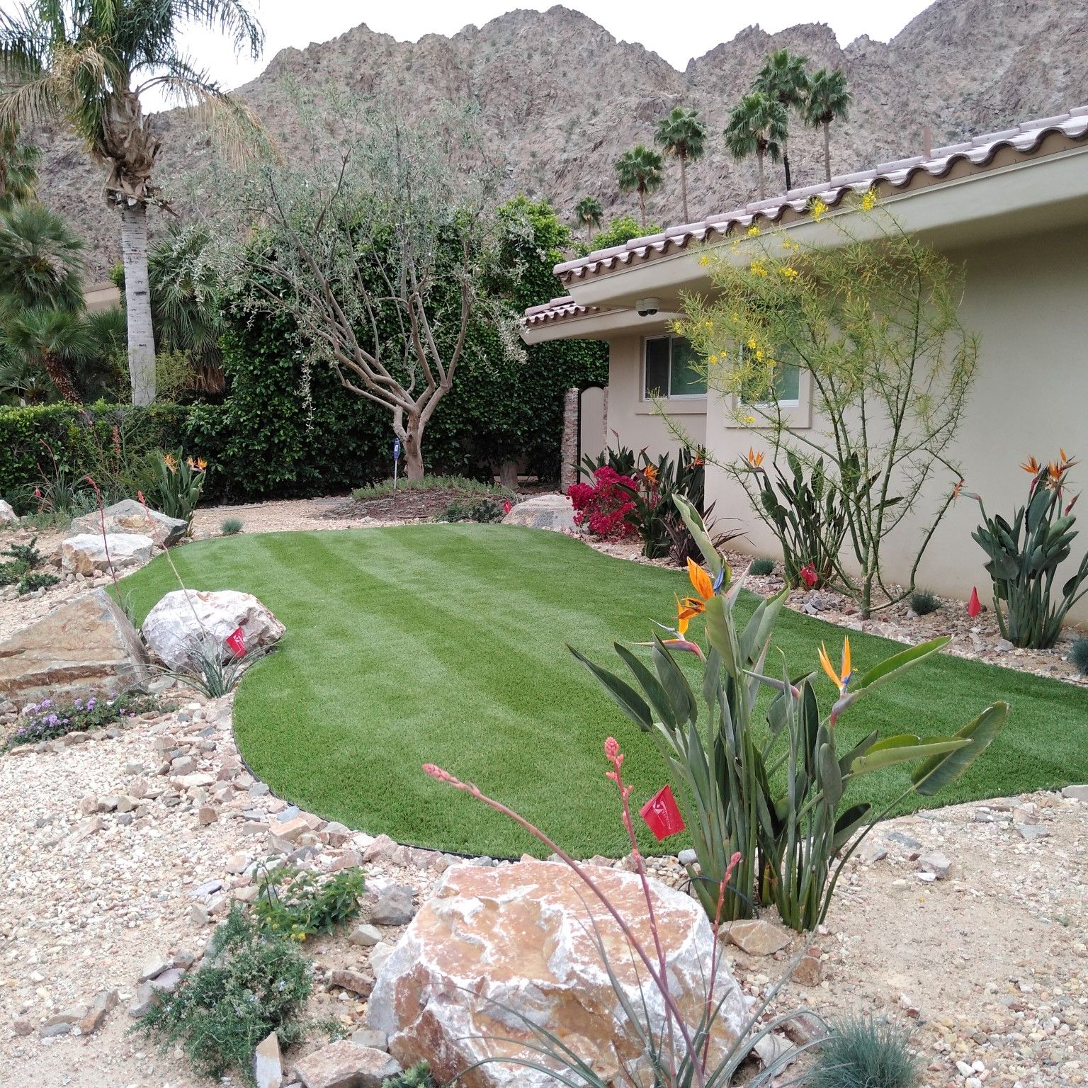 Beautiful desert backyard